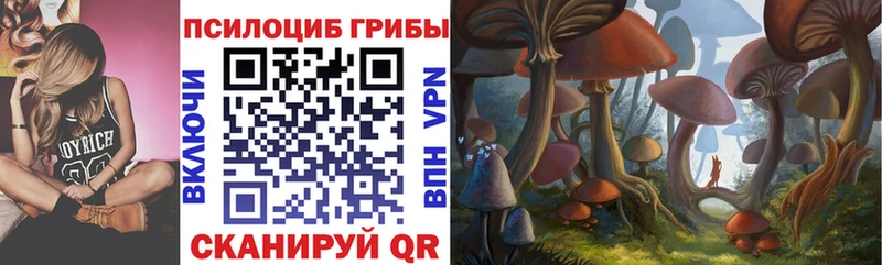 Купить Никольск Галлюциногенные грибы мицелий